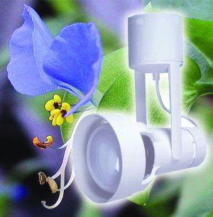 Электроэнергия