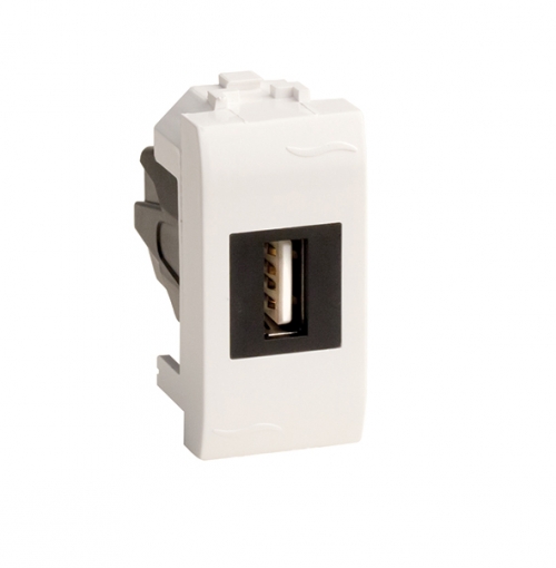 Р23. USB 76200B 2.0 розетка, Brava, белая, 1 мод. (ДКС)