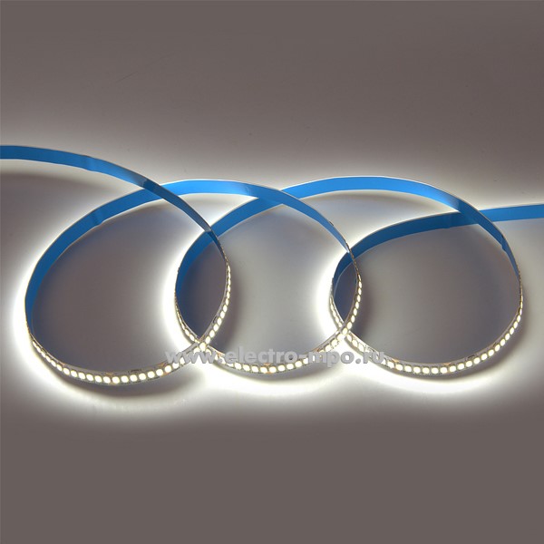 С11. Лента светодиодная 501452 GLS-2835-240-19.2-24-IP20-6 Standard 96Вт 6500К 24В пост. тока 5м (Genera