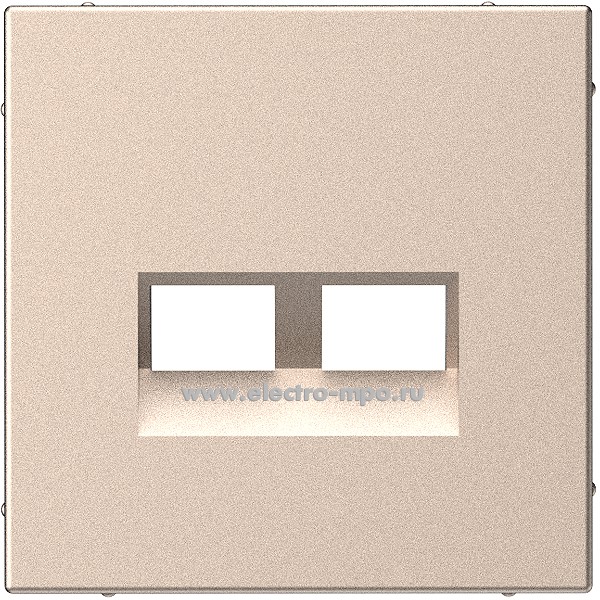 Р2935. Накладка ArtGallery GAL001290 двойная для информационных функций типа Keystone песочный (SE)