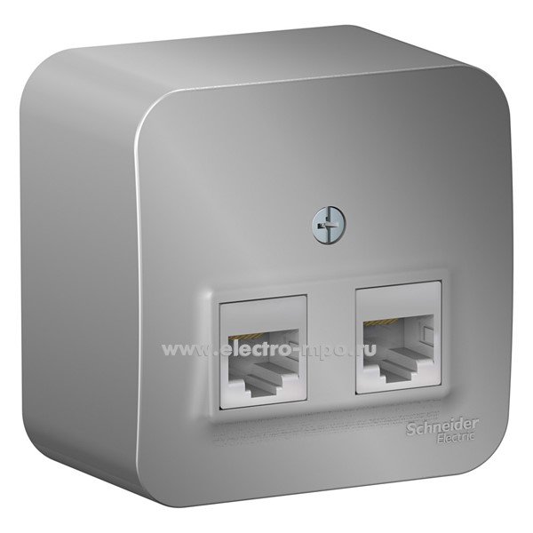 Ю46. Розетка Blanca BLNIA045453 компьютерная 2 входа RJ45 5e о/п алюминий (Systeme Electric)