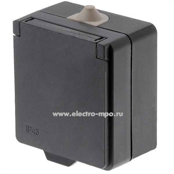 Р3882. Розетка РШ-1-10-42 (РП2Б) с крышкой о/п IP43 чёрная (Переноска)