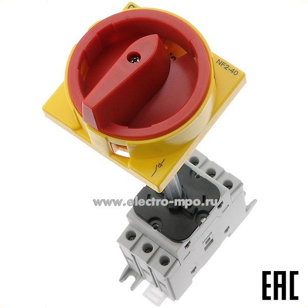 А7054. Выключатель-разъединитель 324125  NF2-40/3DORY 3P 40А для монтажа на дверь (CHINT)