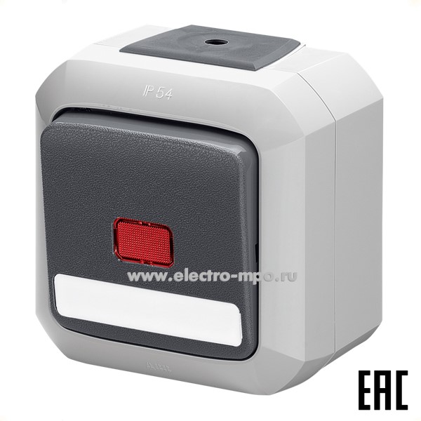 Ю1550. Выключатель Variant+ 2CHN580253C4517 3558N-C02512S 1кл. двухпол. контрольный IP54 о/п серый