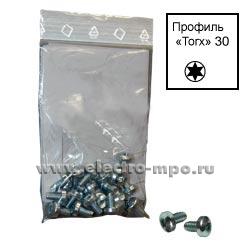 Б2686. Винт RZ12P20 М6х10 (комплект-20шт) (АВВ)